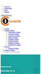 Mobile Screenshot of cilingir34.com