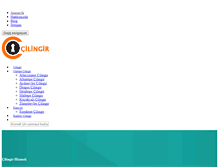 Tablet Screenshot of cilingir34.com